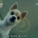 헤롱 이미지
