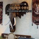(비대면)지구와 나, 돌아보기 | 광주 수완지구 태국음식 맛집 | 나나방콕 수완점 솔직 후기(ft.키즈밀무료)