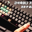 옐로우터널Q | 자석축이냐 기계식이냐, 한 대로 끝내기로 했다