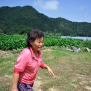 물돌이민박 이미지