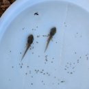 파도와노을캠핑장 이미지