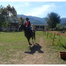 카우보이 이미지