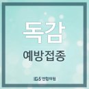 지파이브(G5)연합의원 이미지