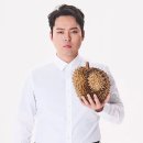 딕헌터 이미지