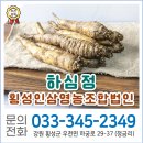 횡성인삼영농조합법인