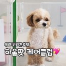 하울팟 위례점 | [위례애견호텔] 위례 강아지호텔 반려견유치원 하울팟 케어클럽