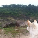 썬베네스트 이미지