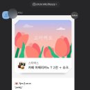 마이카츠 이미지