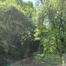 법화사지 이미지