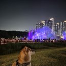 호수공원 중앙광장 | 동탄호수공원 루나쇼 2026 일정 및 후기 데이트코스 추천