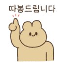 보그헤어원주점 이미지