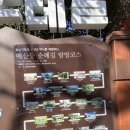 북정여자경로당 | 순천 여행 제8회 매곡동 탐매축제(홍매화),매산동 순례길 다녀왔어요(1편)