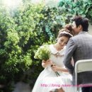 엘가스튜디오 이미지