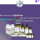 헤어이투