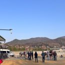 과천 경마공원 렛츠런파크 벚꽃 축제 주말 방문 푸드트럭 후기