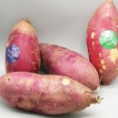 호꿀이네 이미지