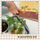 성우농장 | 성우 꿈틀이첫과학 릴라팝 연계독서 방법 : 식물의 성장과정 관찰