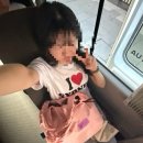 따끈따끈 시드니 2일차-1(페더데일 동물원 쿼카 인카운터 후기)