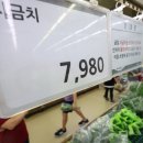송파농협하나로마트 국민일보