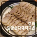 신모라사거리 승승삼겹 앞 | 사상 국밥 모라 밀양순대돼지국밥 가족 모두 만족한 맛