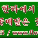 김은주꽃플라워 이미지