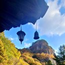 화려한 애기단풍의 변화가 매력을 풍기는 청량산의 청량사 절경 이미지