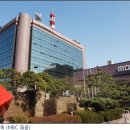 MBC 노컷뉴스