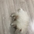 웨어하우스엘