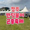반딧불도서관 | 2024 청주 반딧불이 곤충축제 후기 - 오창반딧불축제 충북농업기술원 / 체험 예약 대기 에어바운스 돗자리