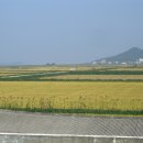 바다는보이고
