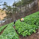 종근농장 이미지