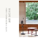소노한 이미지