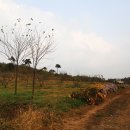 부부농장 이미지