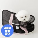 회뜨는광장 | 서울 전통시장 애견동반 가능할까｜남대문·광장시장·경동시장 로키랑 다녀온 코스 정리