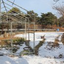 덕장농장 이미지