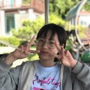 엄채영 카카오 검색결과