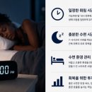 웰디렉터