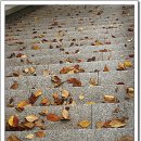 희망대공원 이미지