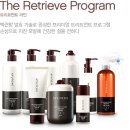 살롱 드 오늘 이미지