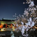 동양유도클럽 이미지