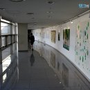 사상갤러리 전시회 네이버블로그