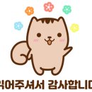 다솜다솜 수제간식 이미지