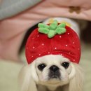 Re플레이 이미지