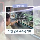 주니멀 | 서울 노원 아기랑 실내 데이트 주니멀수족관 수족관카페 플레르 솔직후기