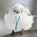 이마트24R인천선학점 | 5. 대혼란기😱