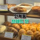 브레드단 이미지