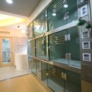 두리틀동물병원 이미지