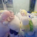 킹덤오락실 이미지