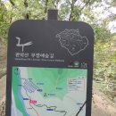 관악산 무장애숲길 이미지