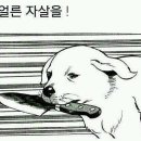 D-292, 새벽에 쓰는 일기, 공부 현황